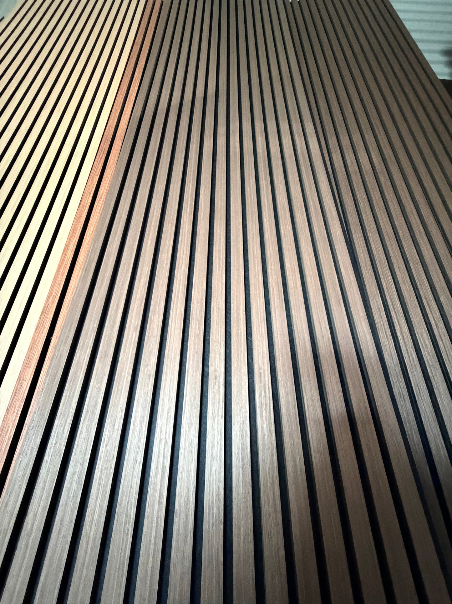 A11 2x9ft Cassia Siamea